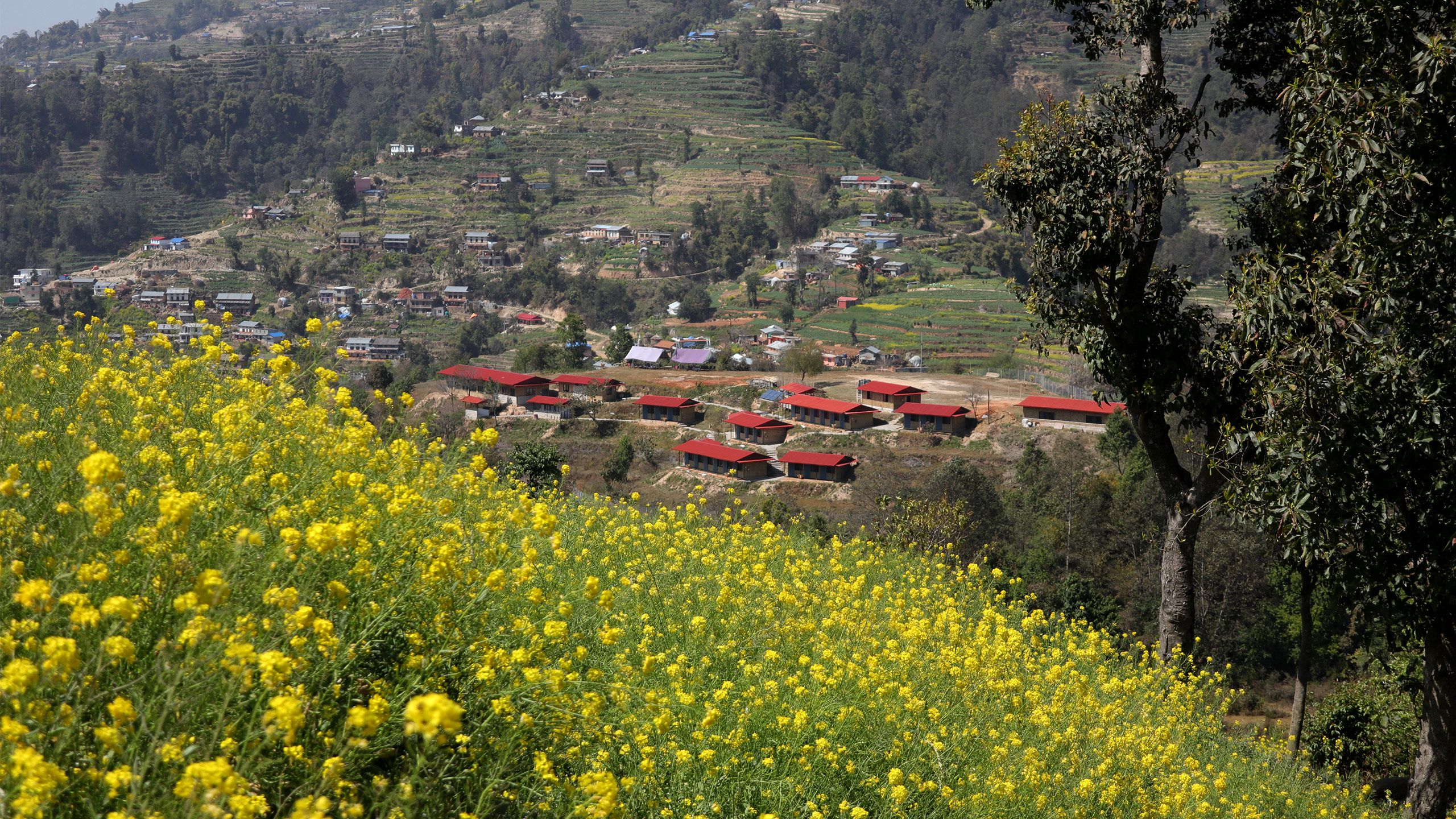 Nala Outdoor Learning Center scenic view